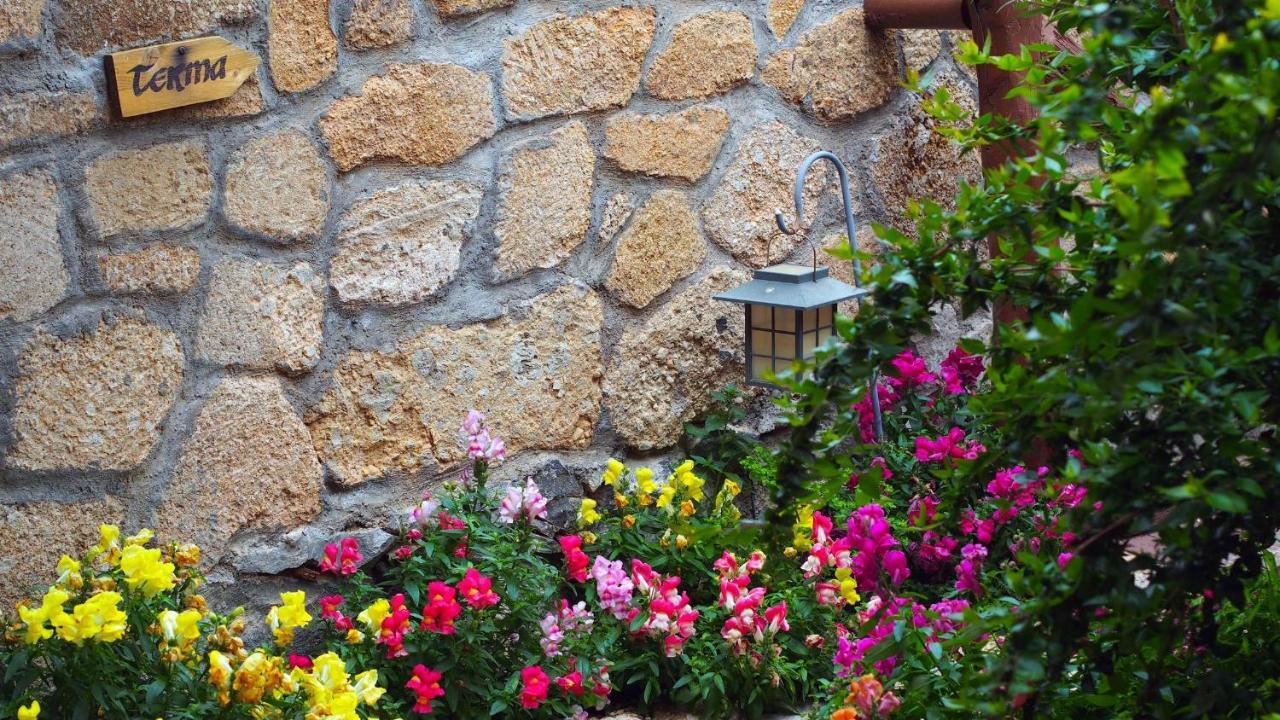 Hotel Rural San Miguel - Only Adults Сан-Мігель-де-Абона Екстер'єр фото